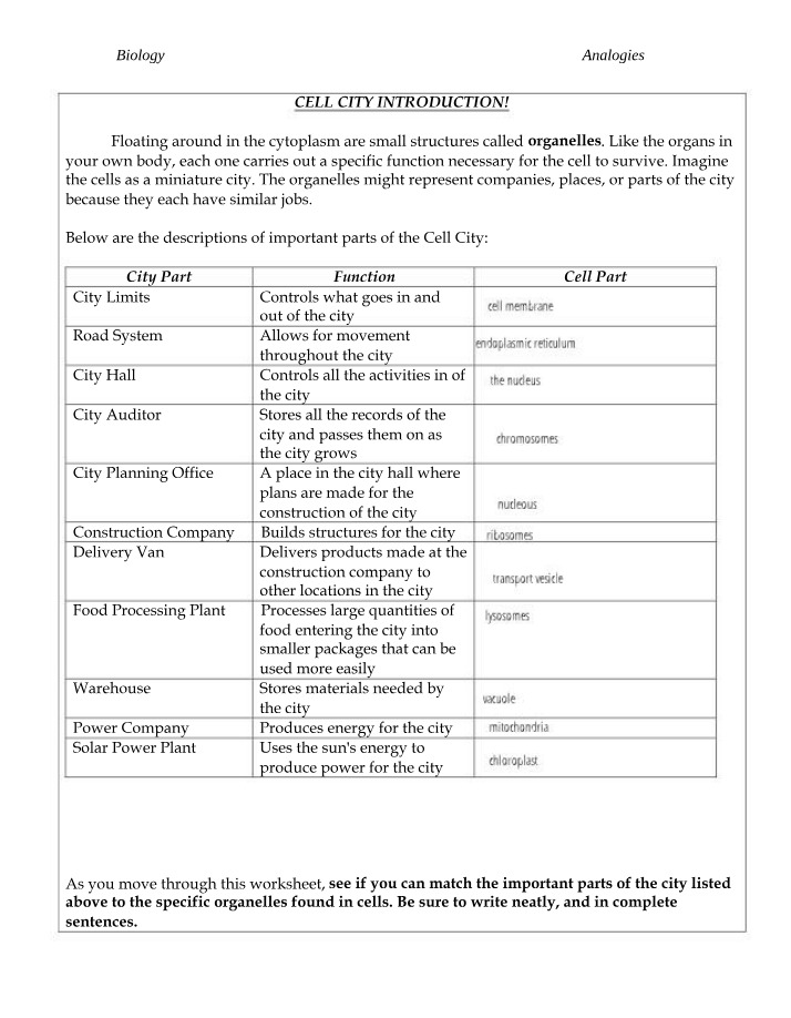 Worksheet - Cell City Analogy