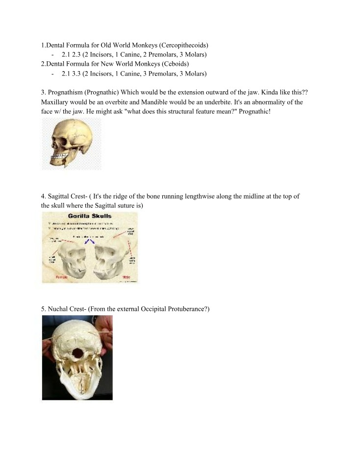 Anthro 308 Quiz Notes
