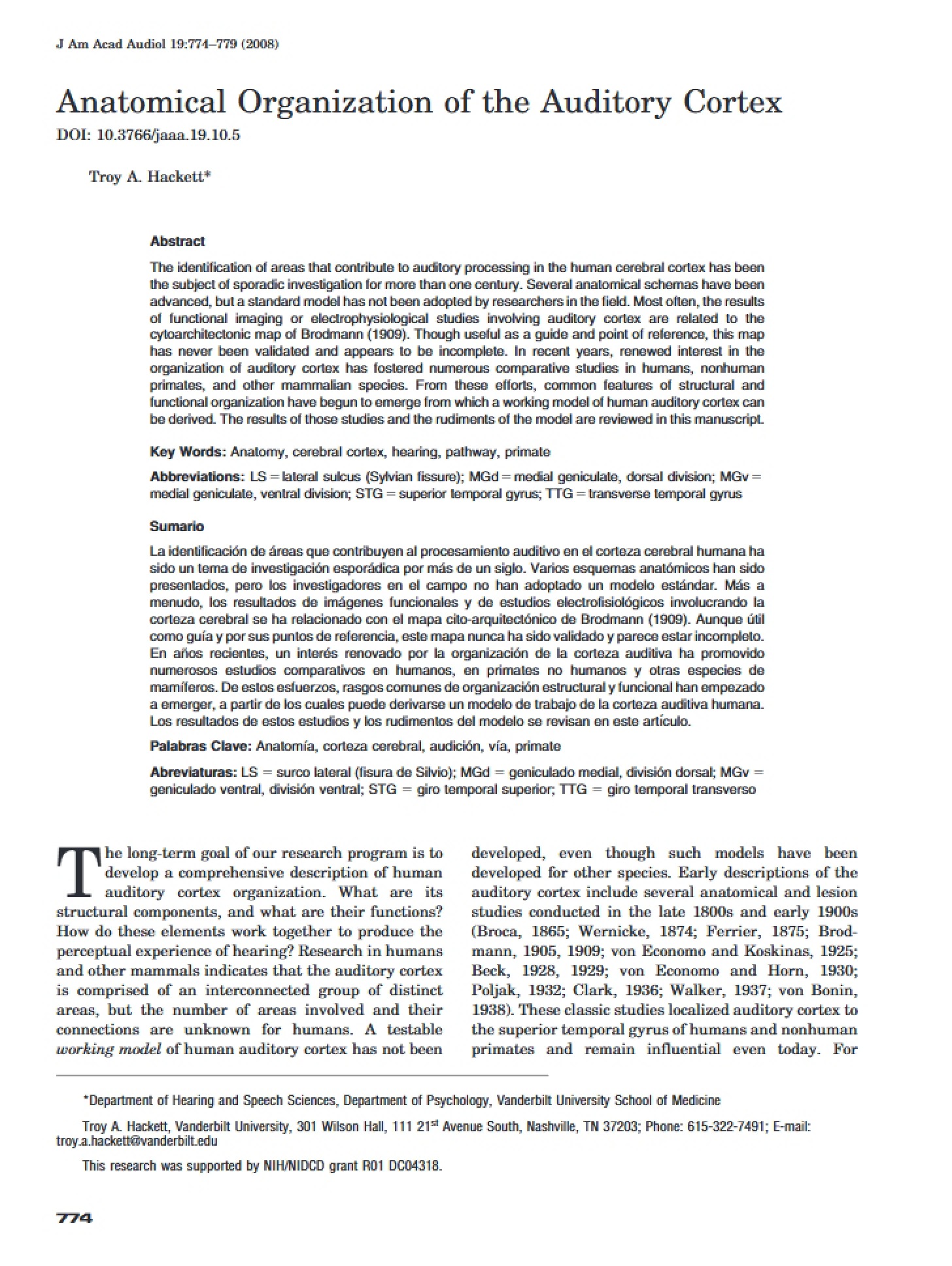 Auditory Cortex Organization and Anatomy