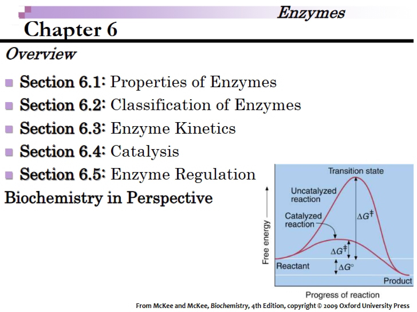 Template McKee Chapter 6 (Annotated)