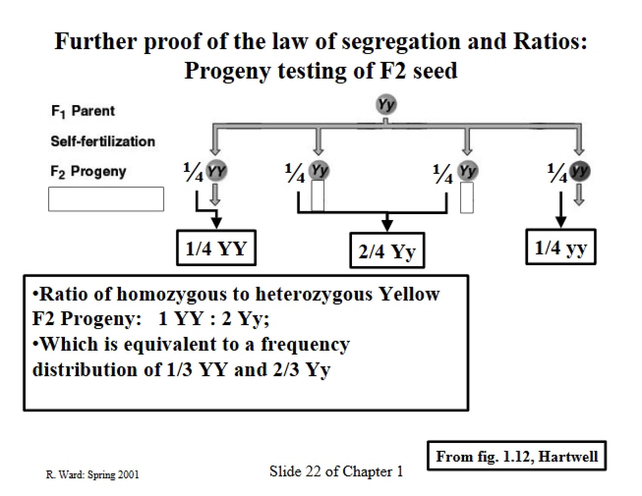 Plant Genetics Study Guide