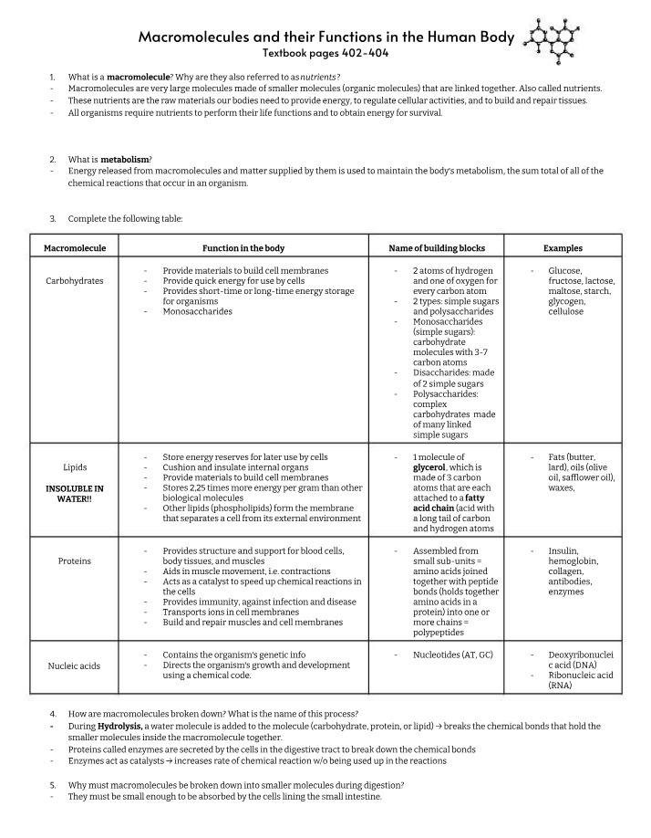 Notes on Macromolecules and Their Functions in the Human Body