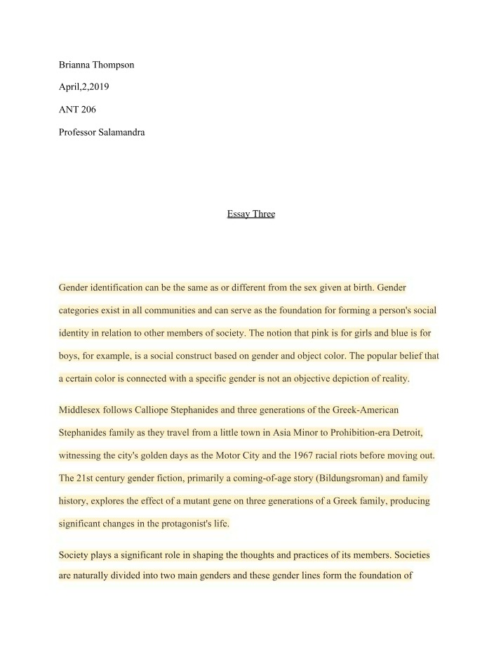 Essay on Gender Identity and Societal Influence on Sexual Practices