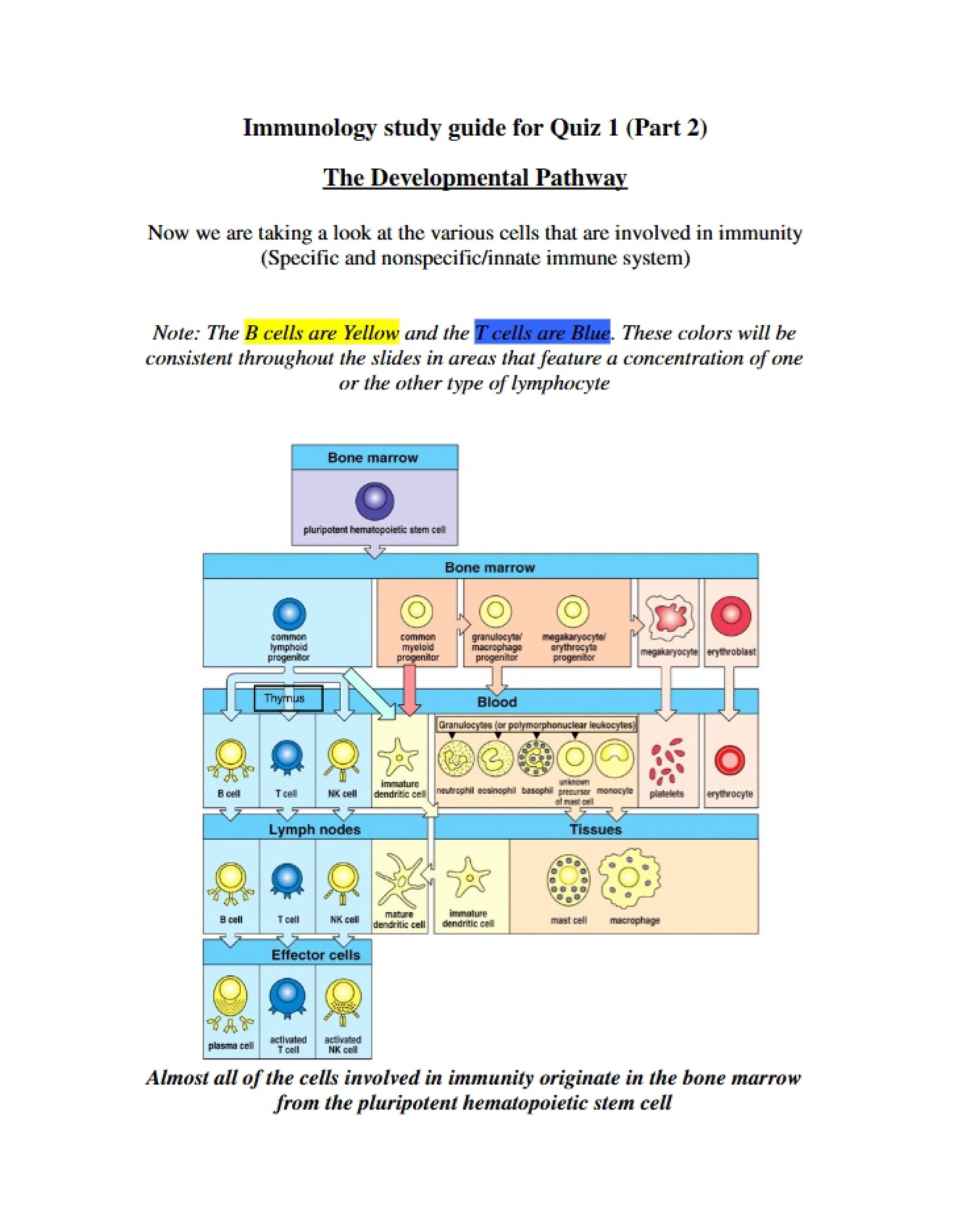 Pathway of Development