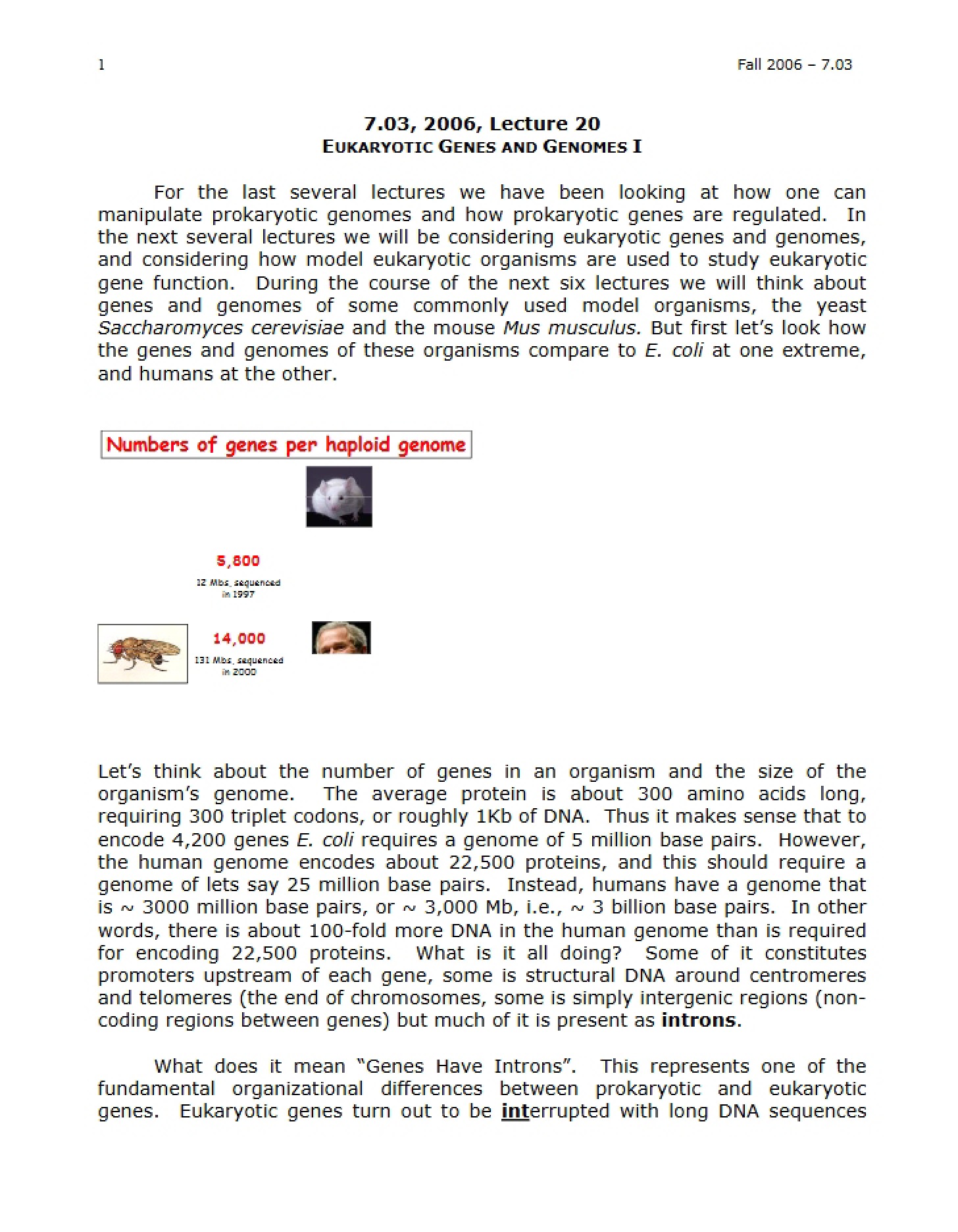 Genomes and Genes in Eukaryotes I