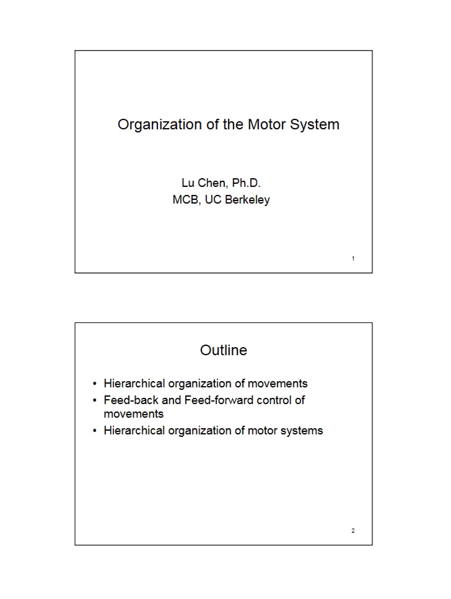 Motor System Organization