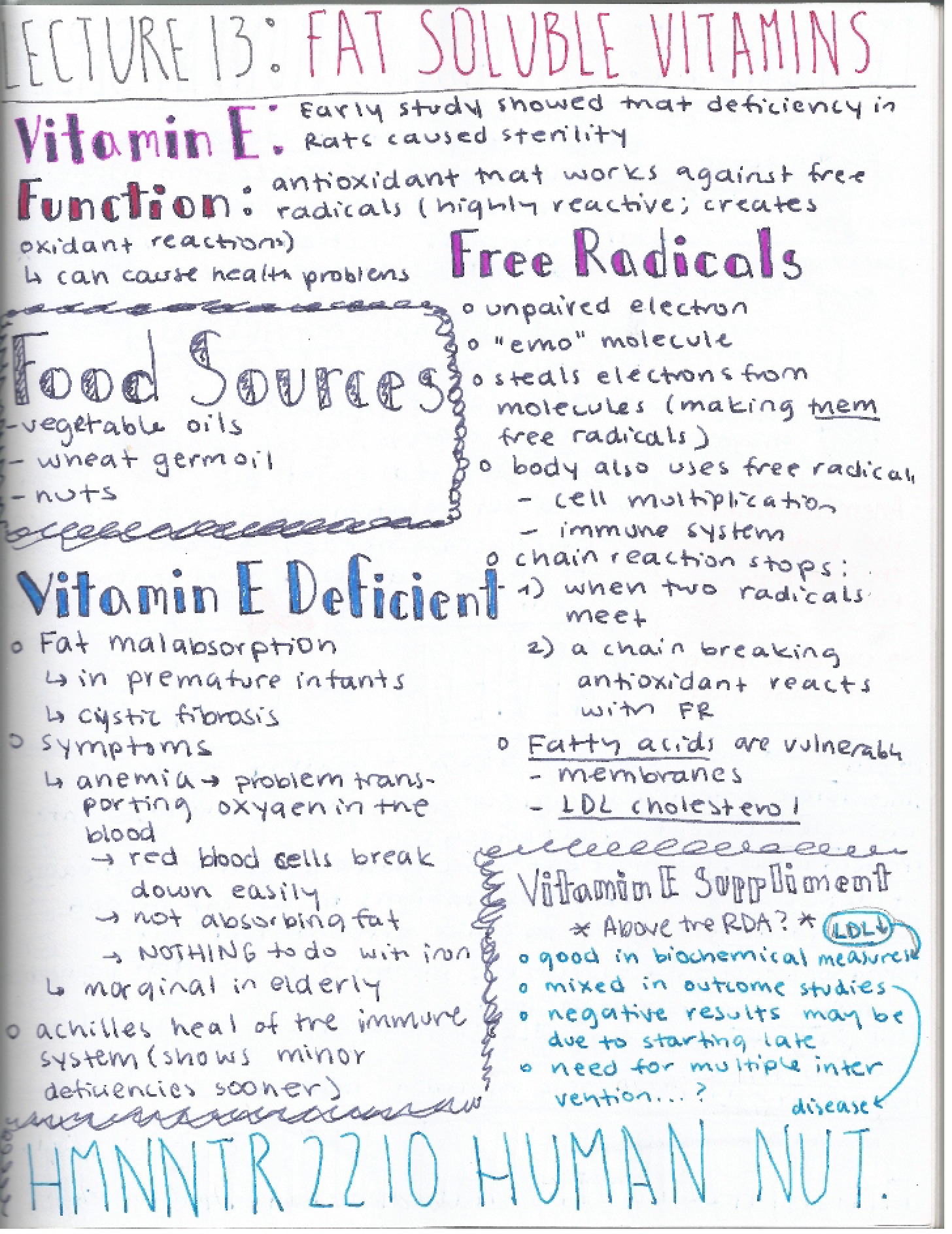 Vitamins Soluble in Fat