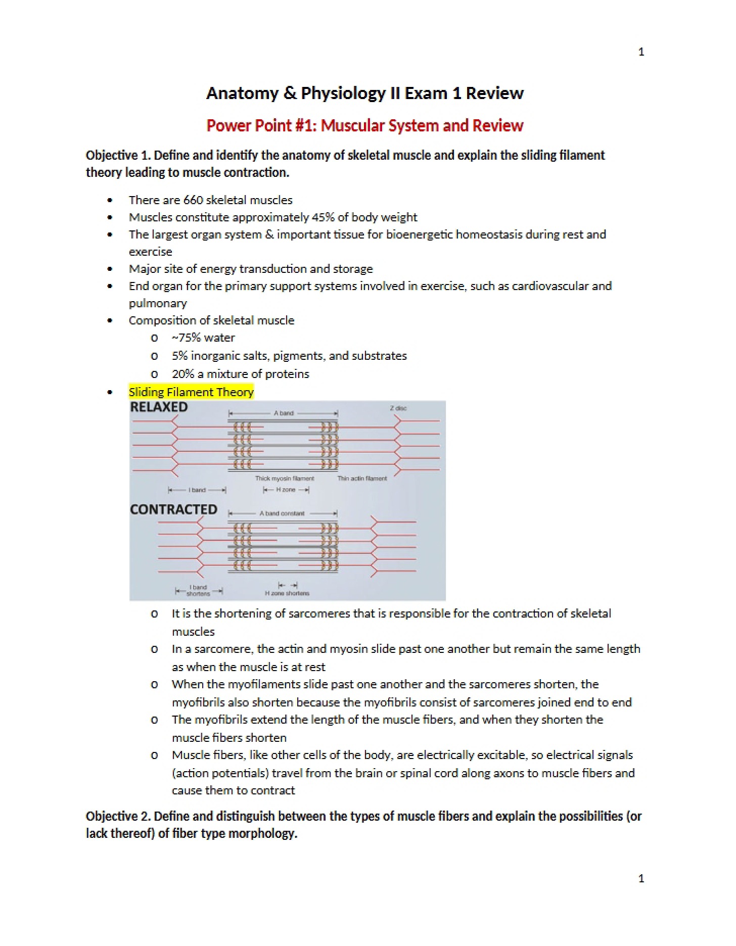 Review Material for Exam 1