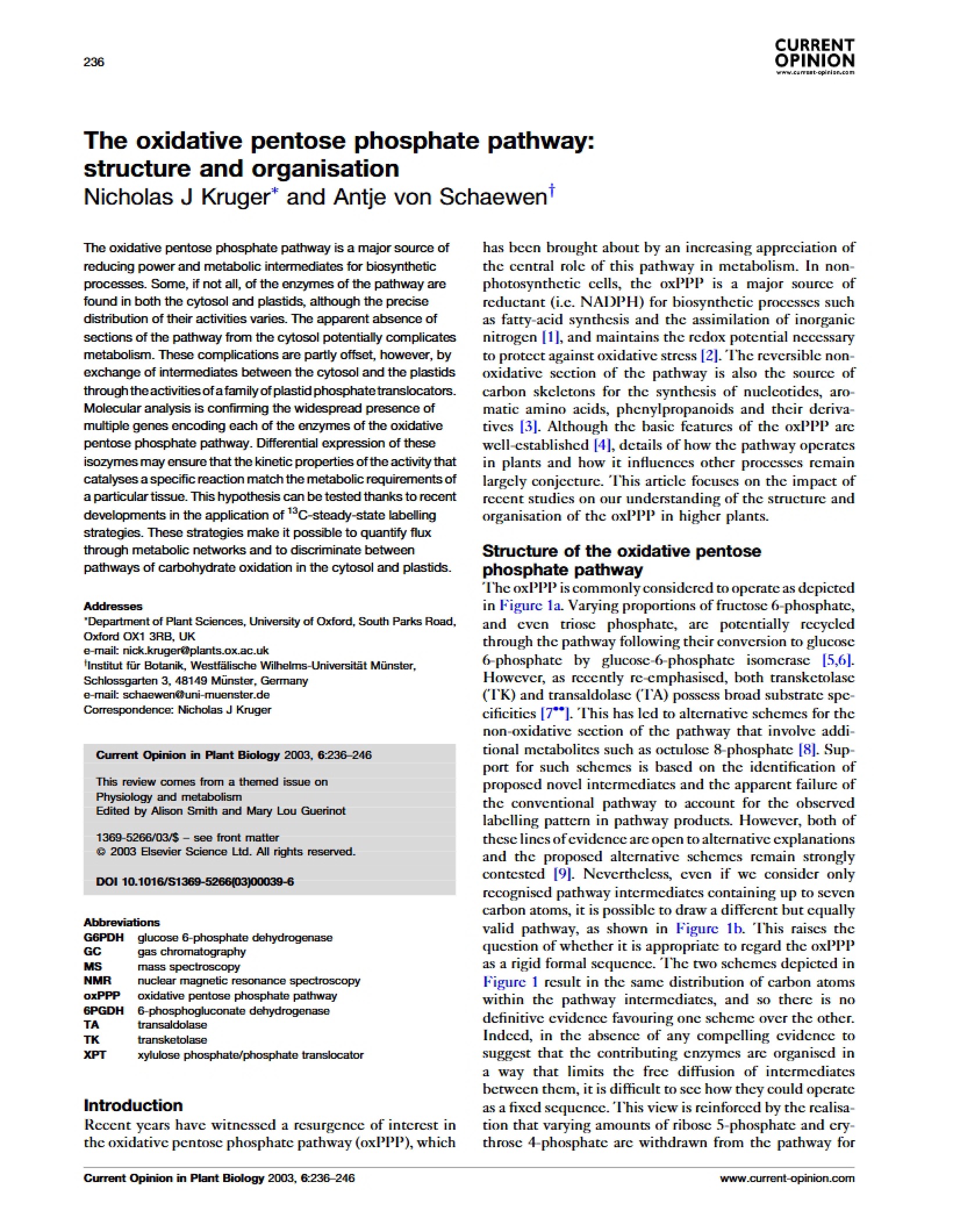 Structure and Organization of Oxidative Pentose Phosphate Pathway