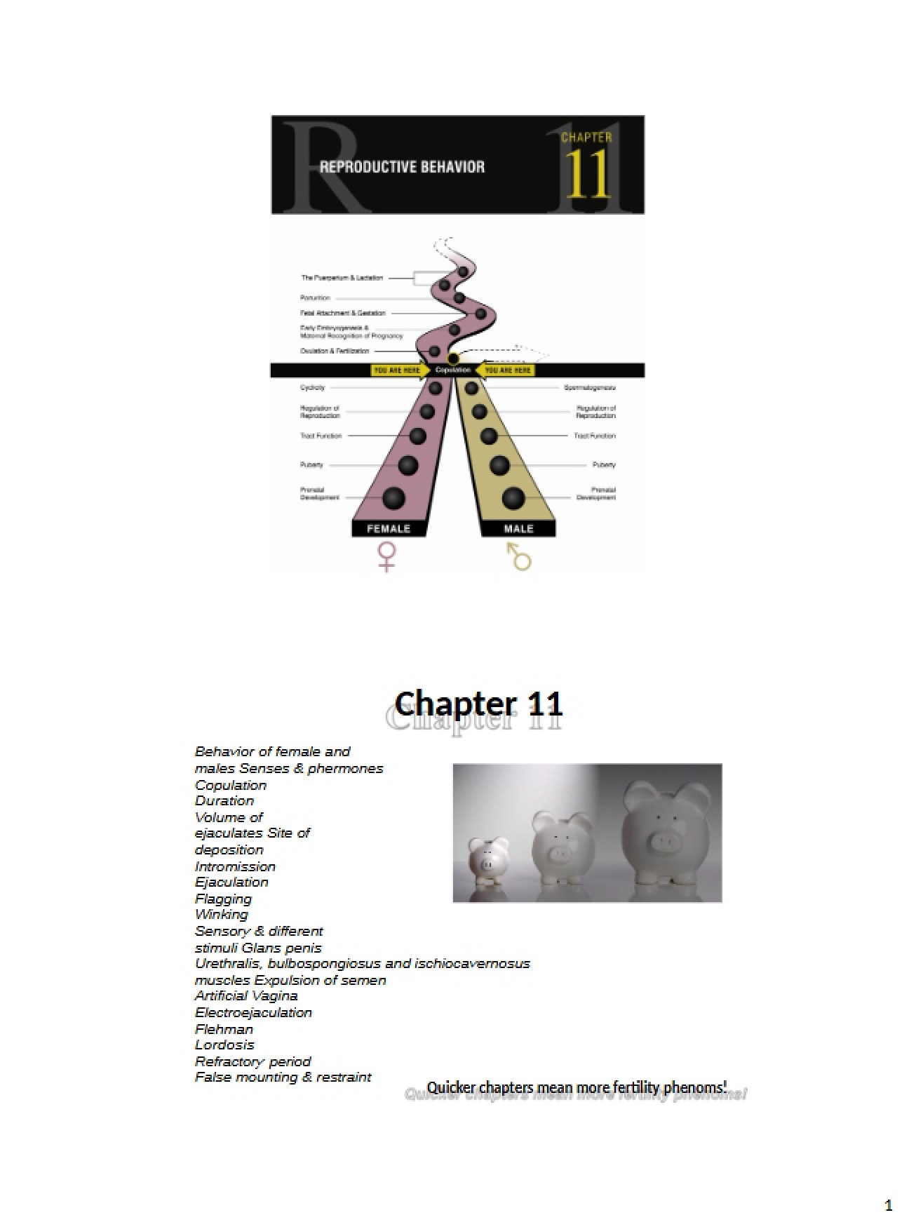 Chapter 11