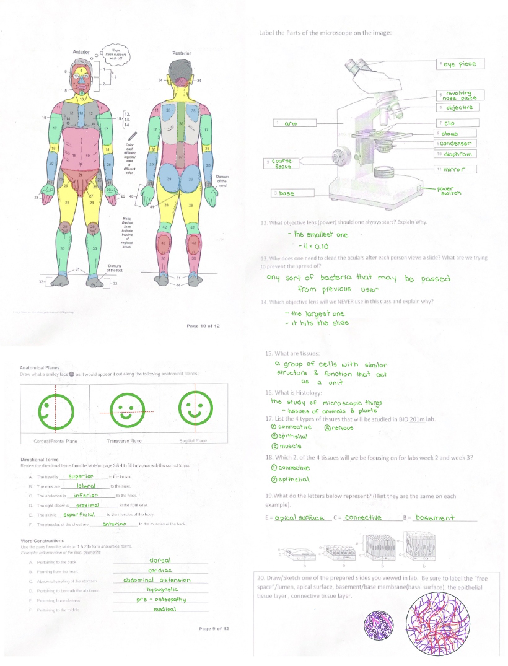 First Laboratory Exercise