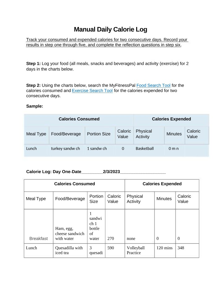 Manual for Daily Calorie Log