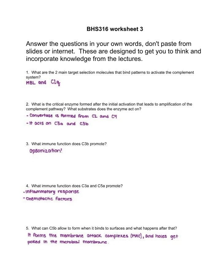 Worksheet 3 for BHS 316