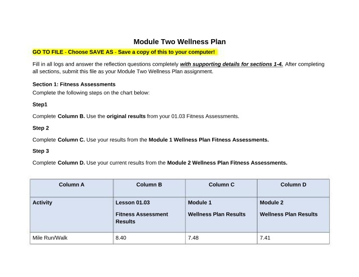 Wellness Plan for Module Two