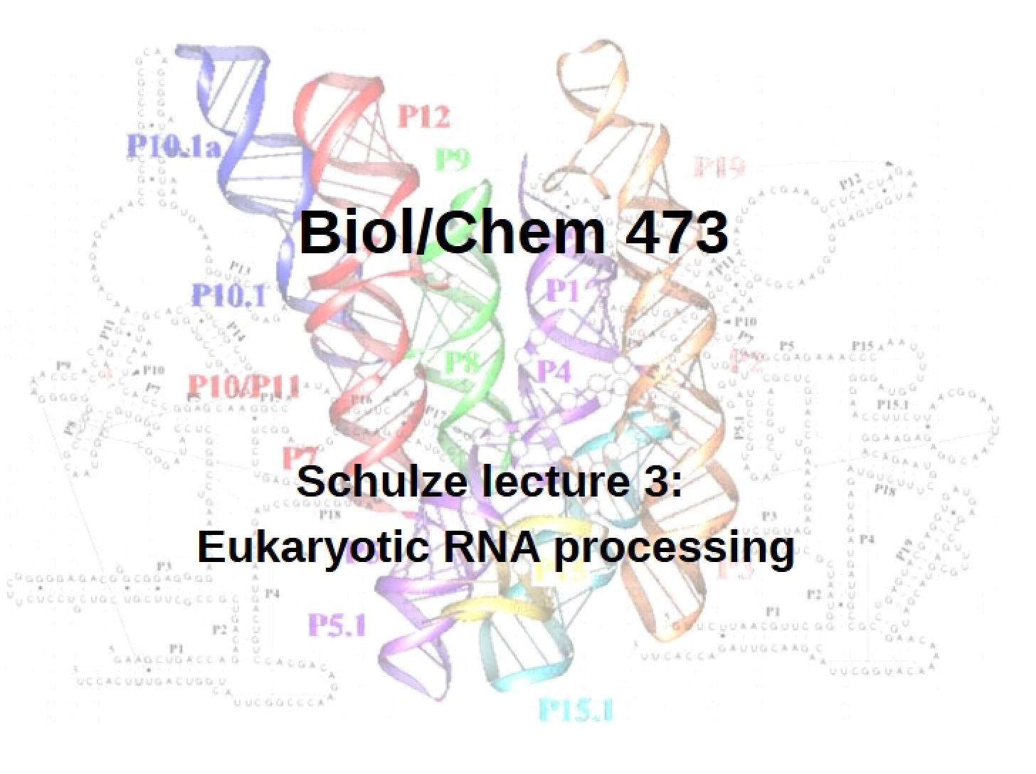 Processing Eukaryotic RNA (Schulze Lecture 3)
