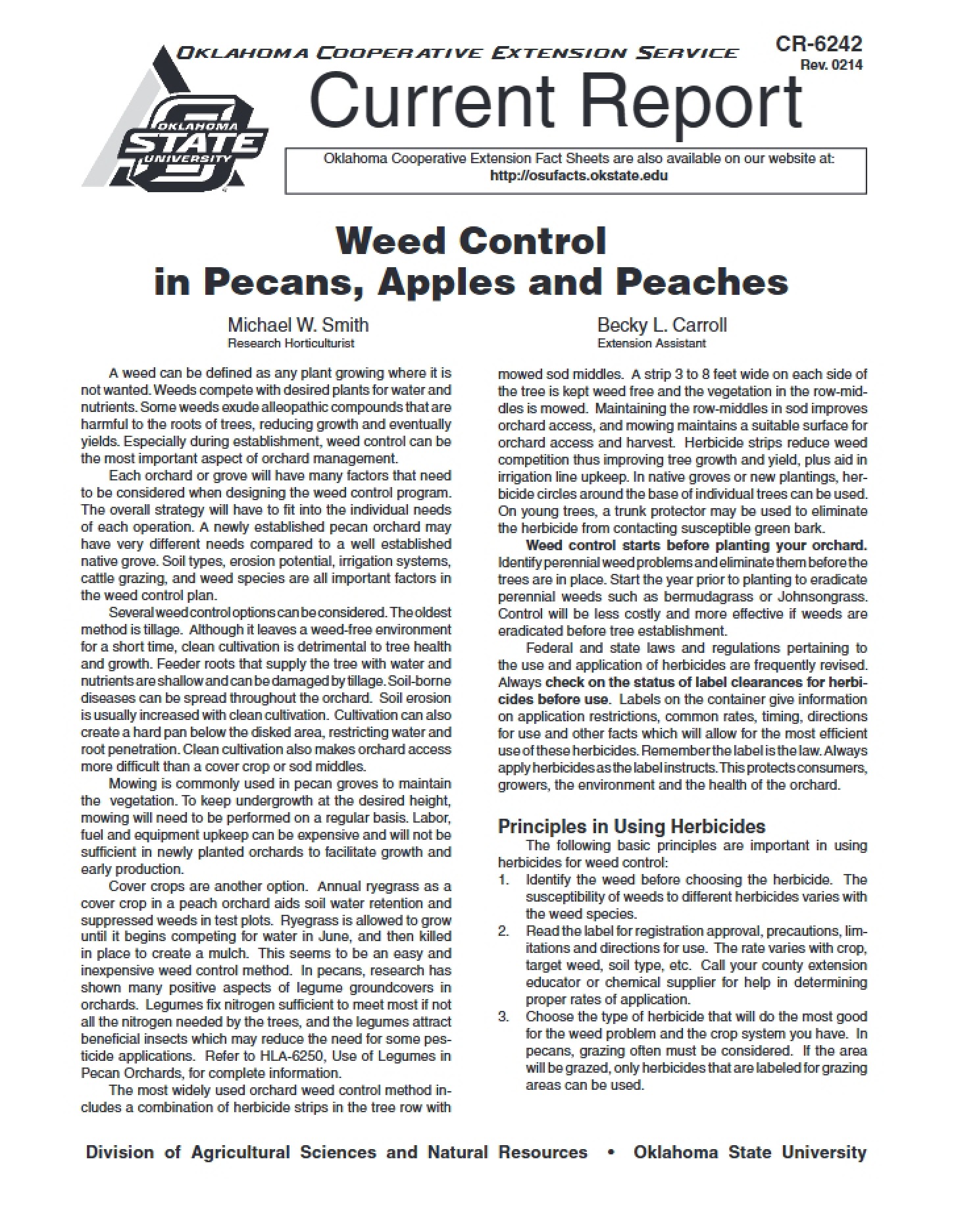 Controlling Weeds in Peaches, Apples, and Pecans