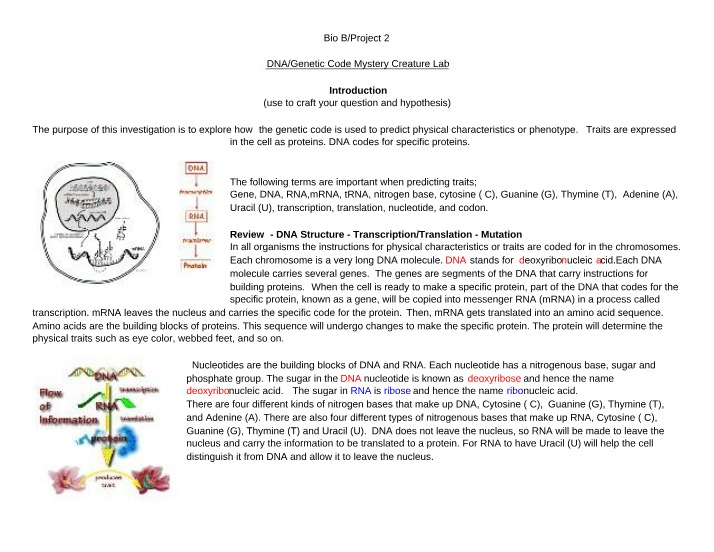 Mystery Creature Lab - DNA and Genetic Code