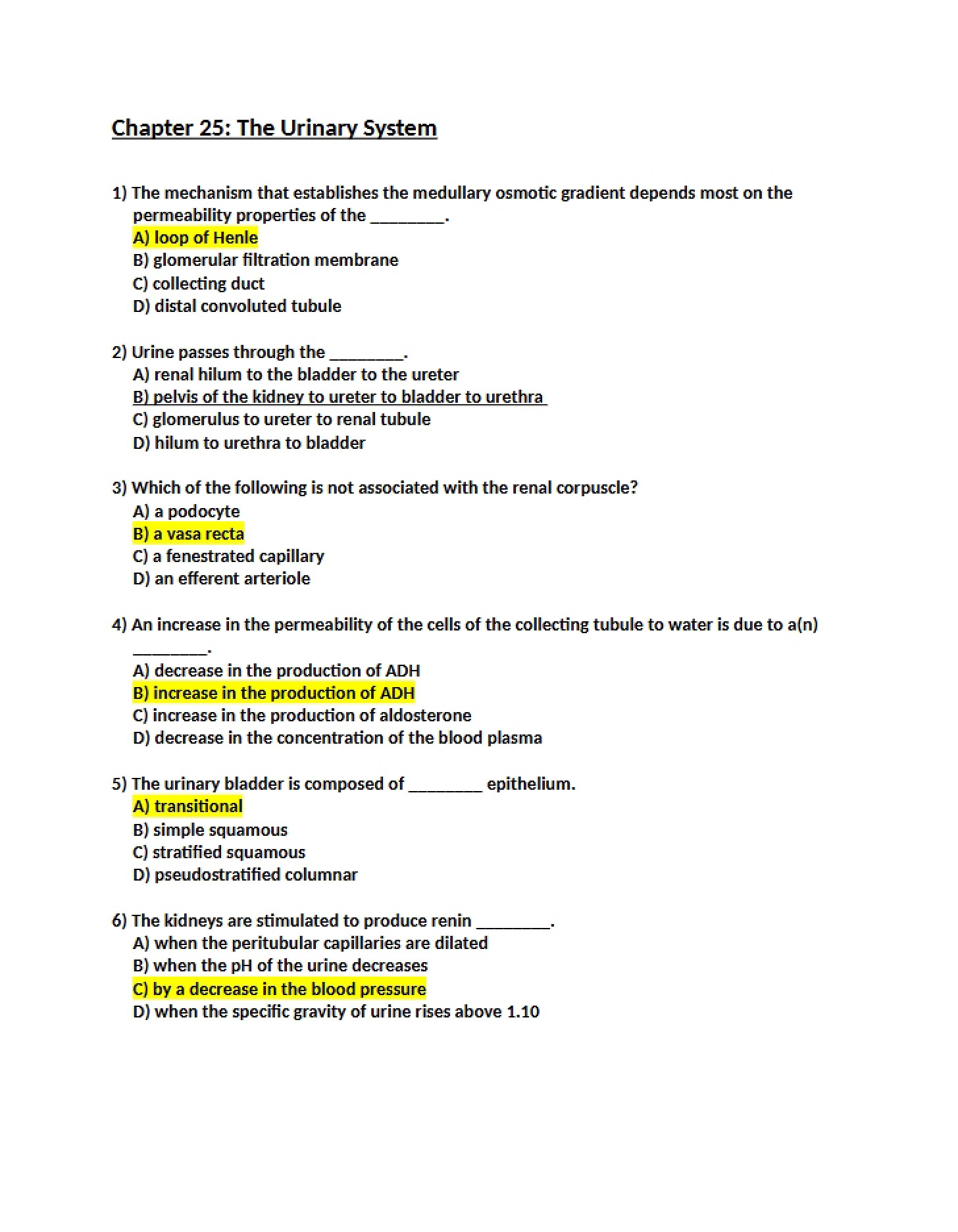Urinary System Overview