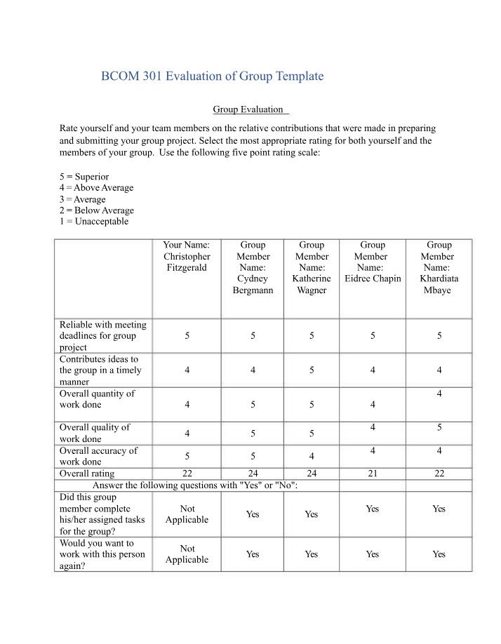 Group Project Ratings and Reflections
