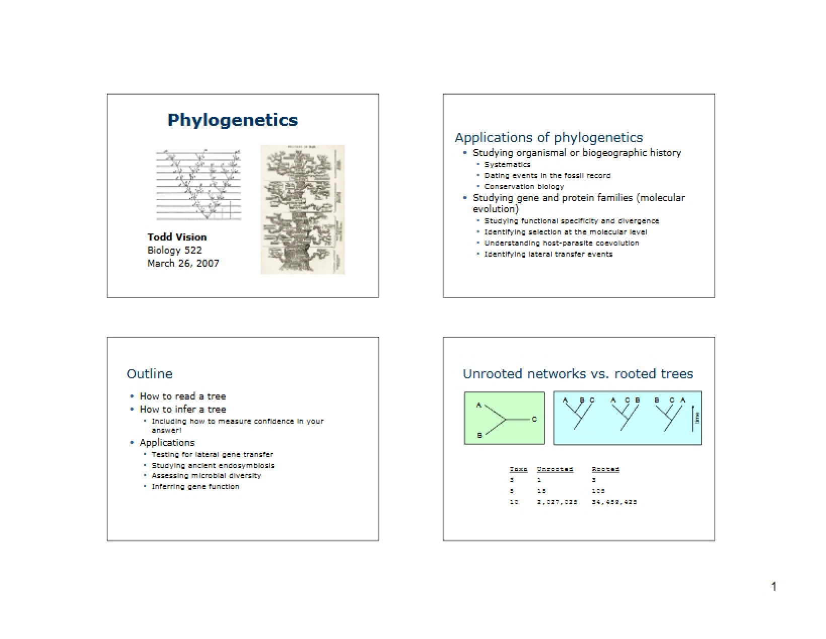 Phylogenetics Overview