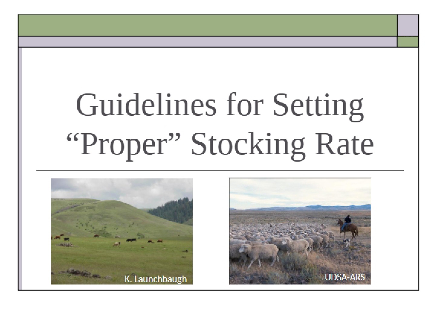 Lecture on Stocking Rates