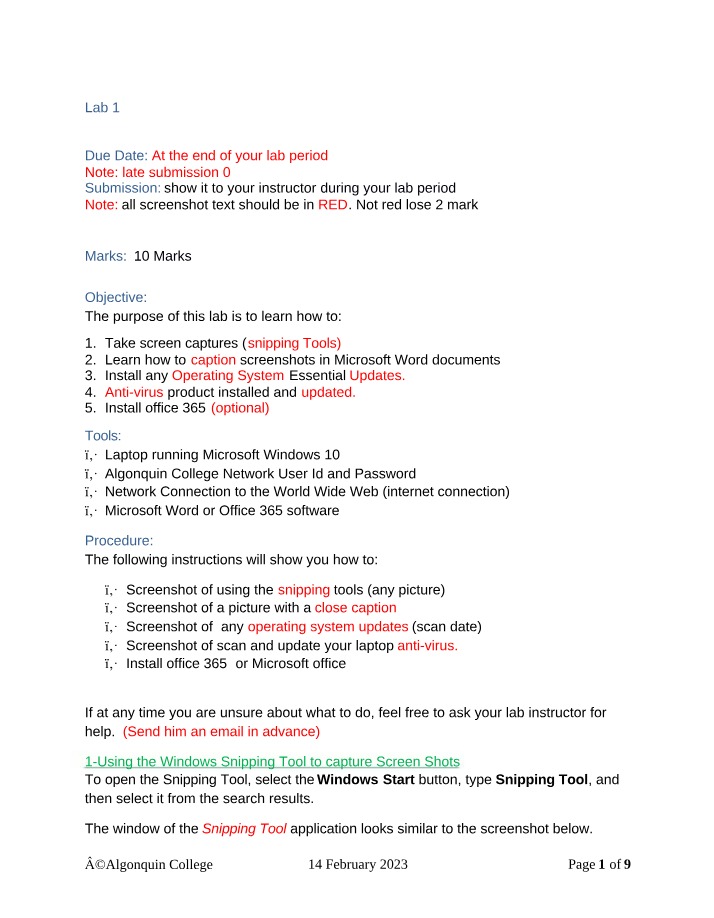 Lab Assignment - Capturing and Captioning Screenshots