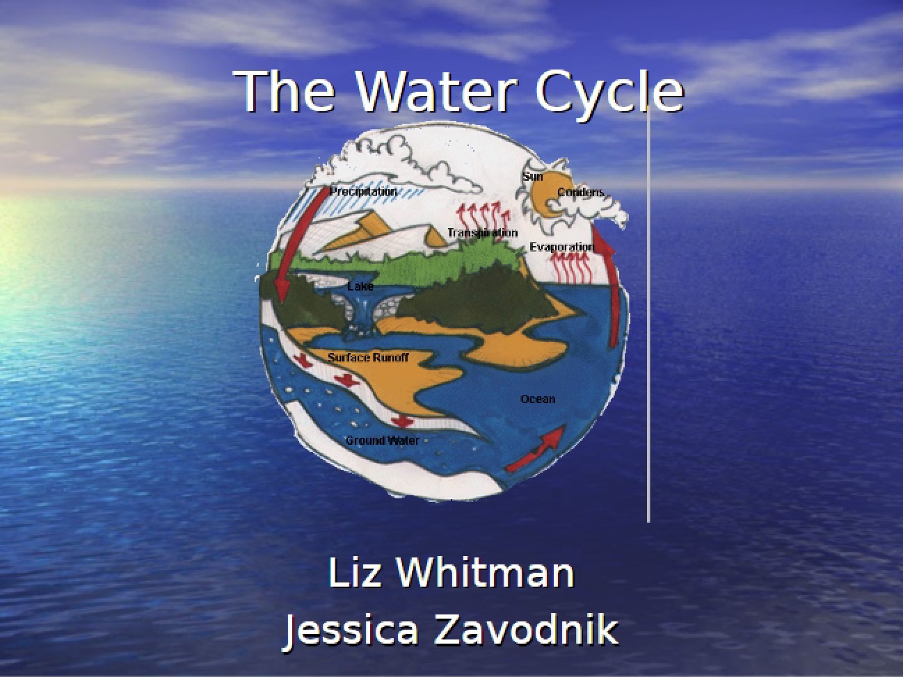 Hydrological Cycle