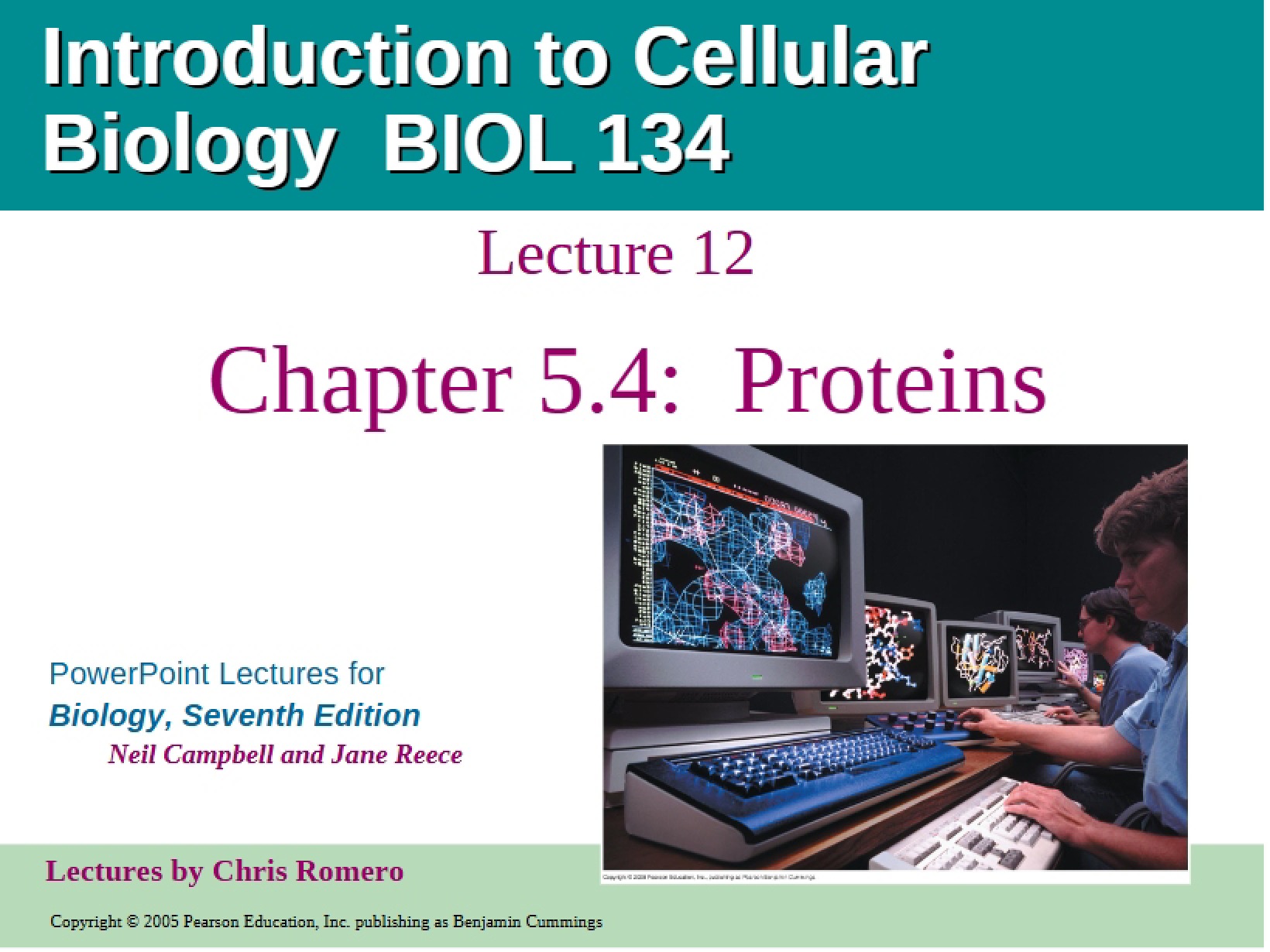 Proteins Chapter 5.4