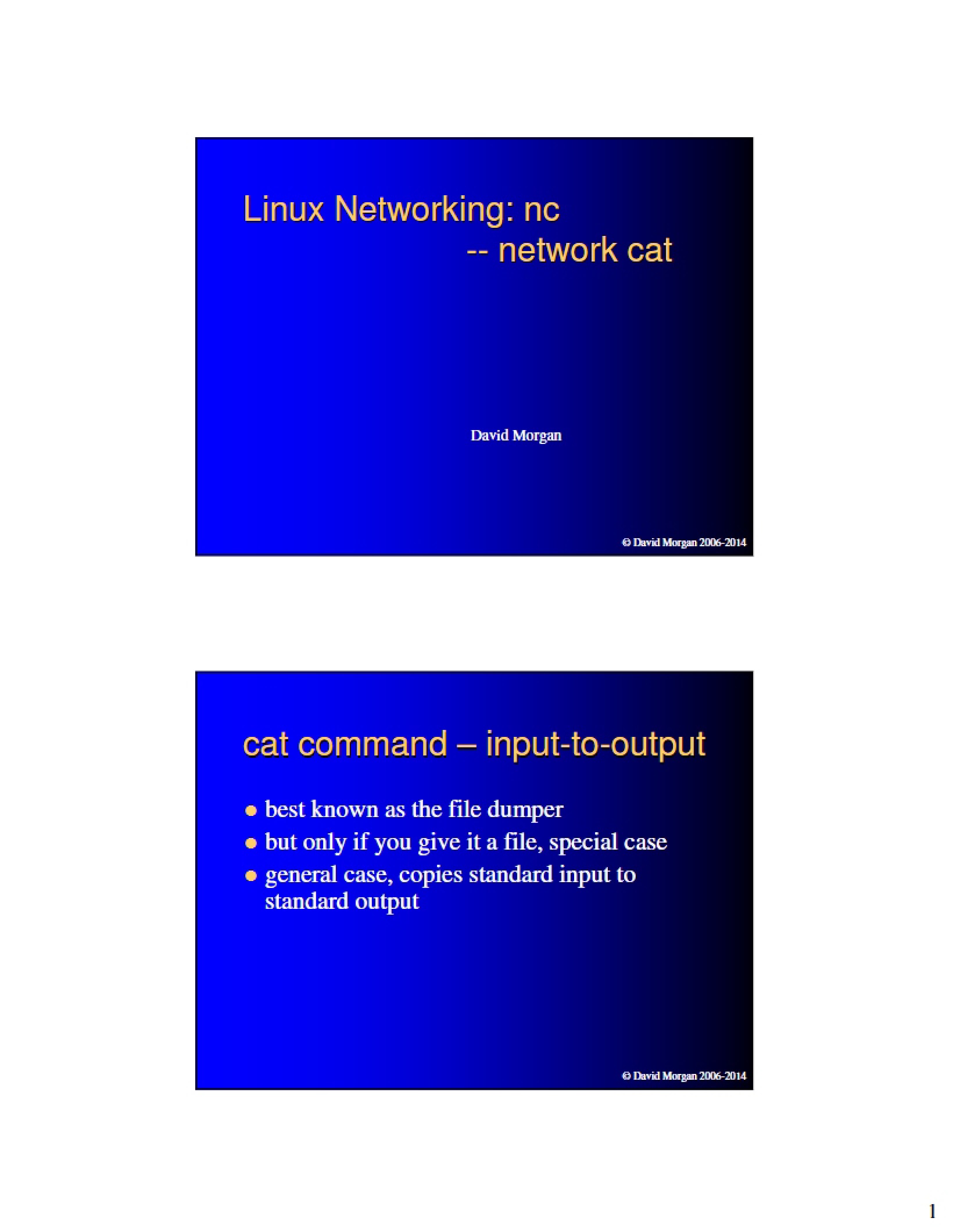 Netcat Utility for Linux Networking