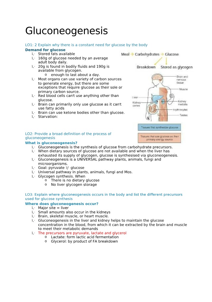 Notes on Gluconeogenesis and Fats Metabolism
