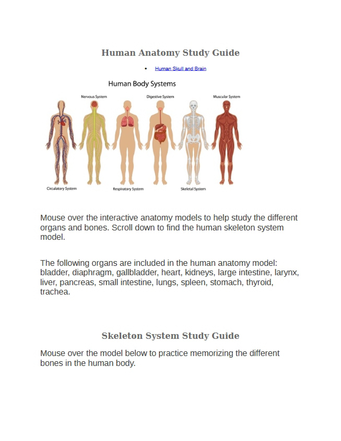 Review Guide for Human Anatomy