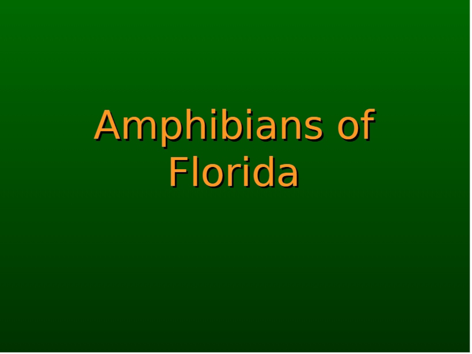 Amphibian Lecture