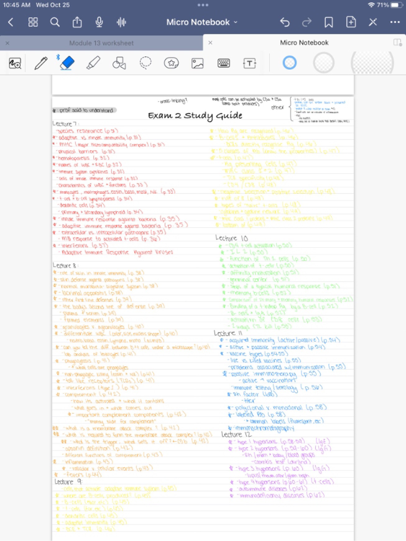 Study Topics Exam Two
