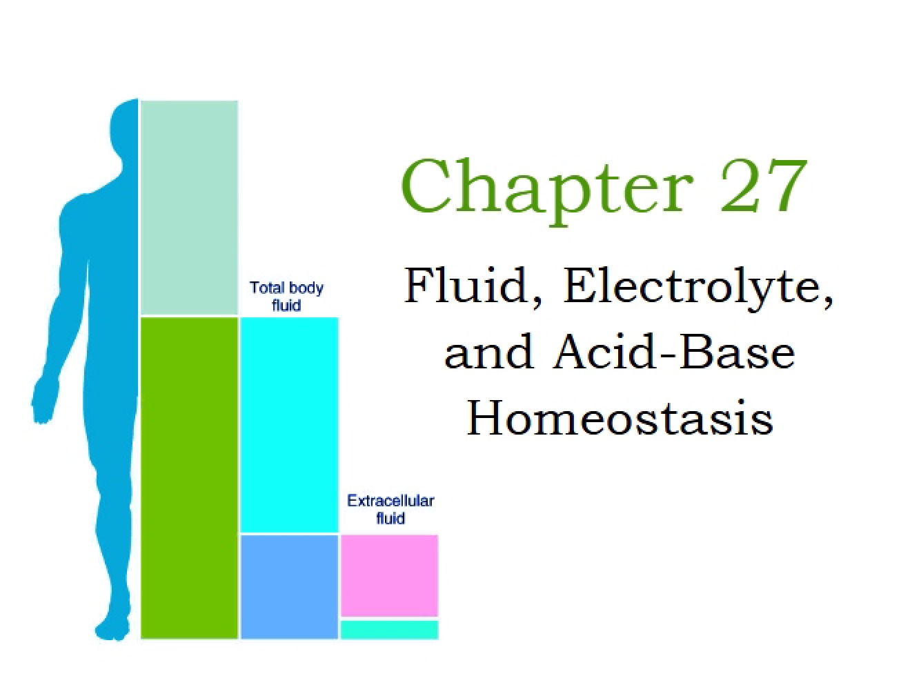 Anatomy and Physiology Chapter Twenty-Seven