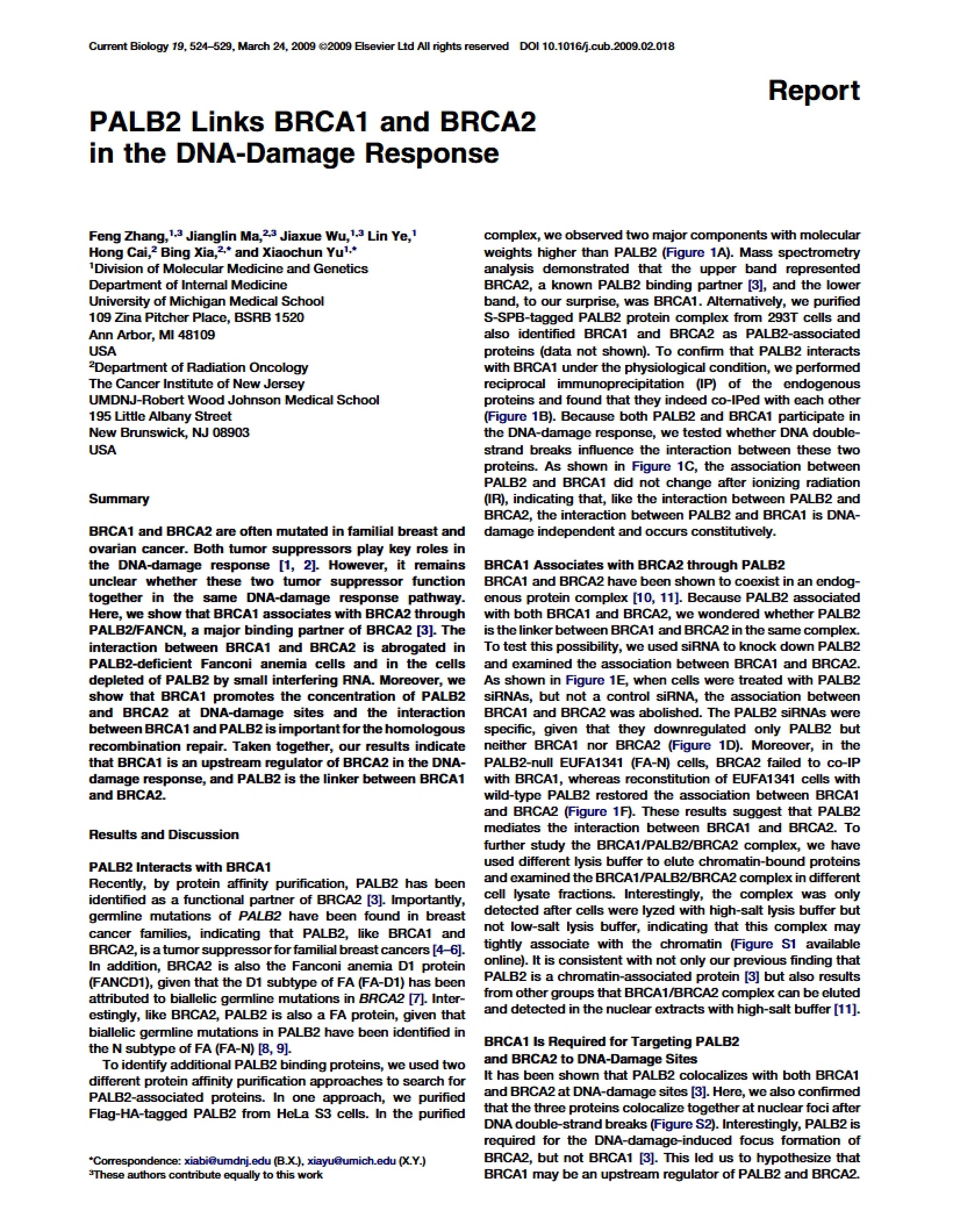 DNA-Damage Response PALB2 Linking BRCA1BRCA2