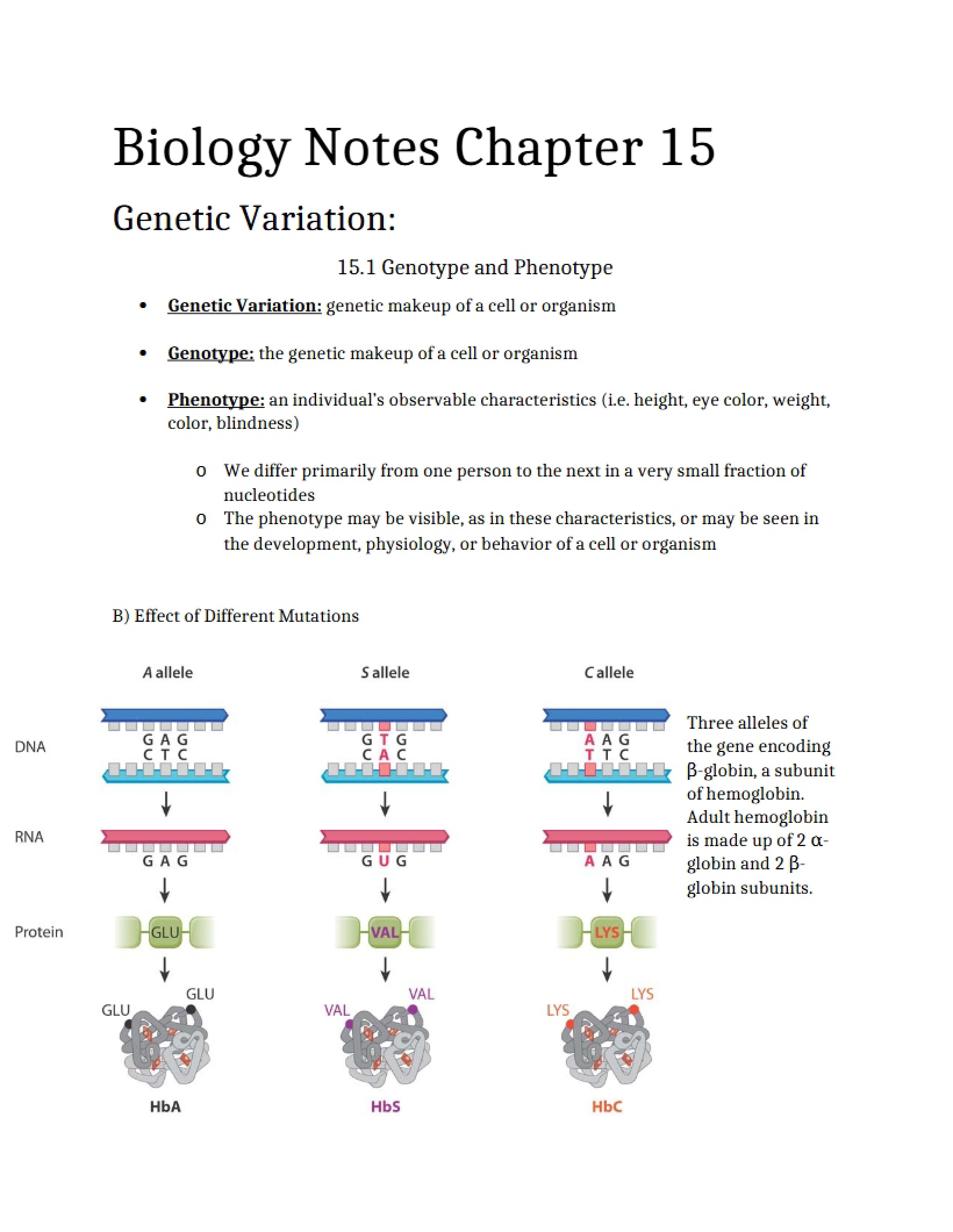 Chapter 15 Biology Class Notes