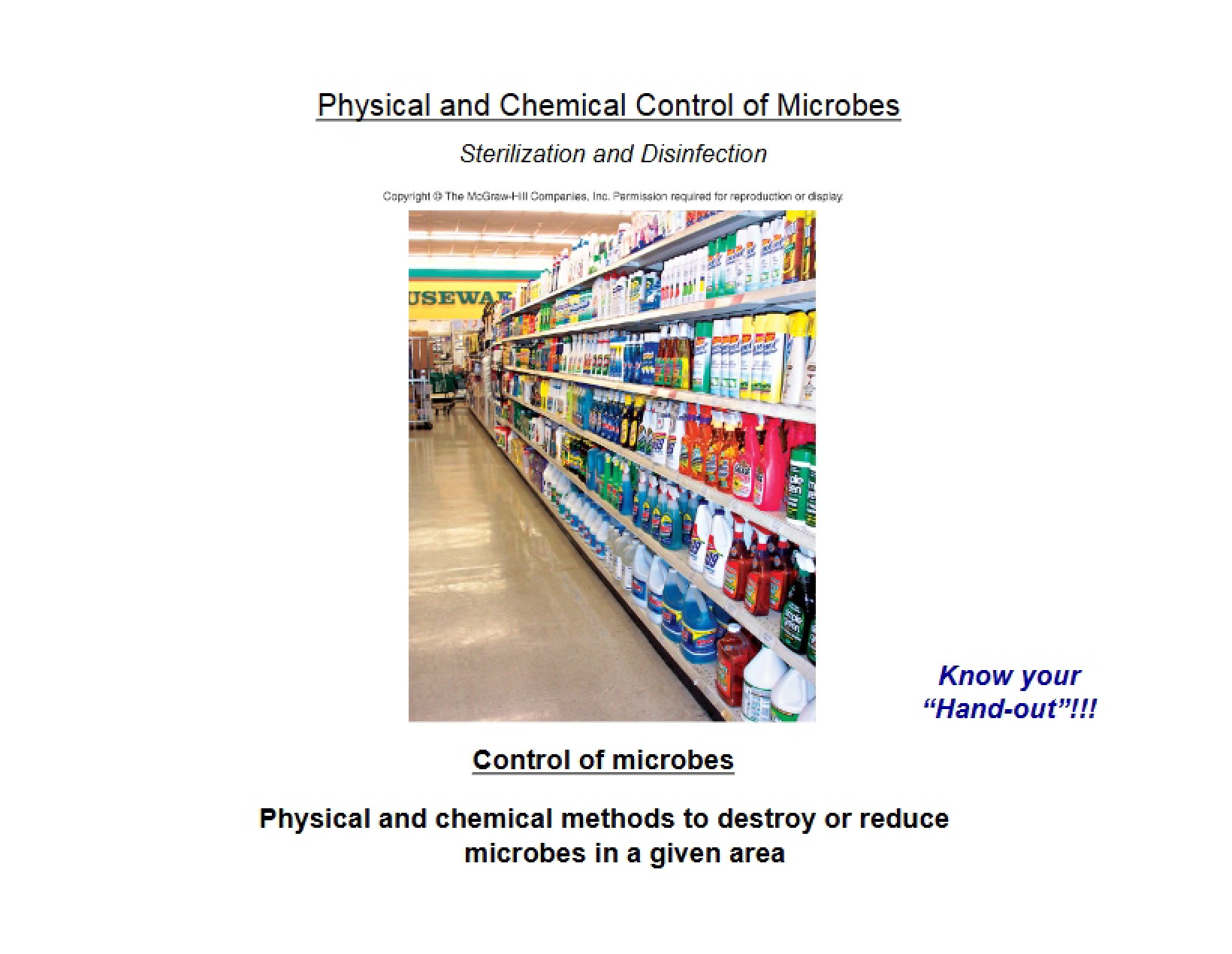 Microbiology Study Notes