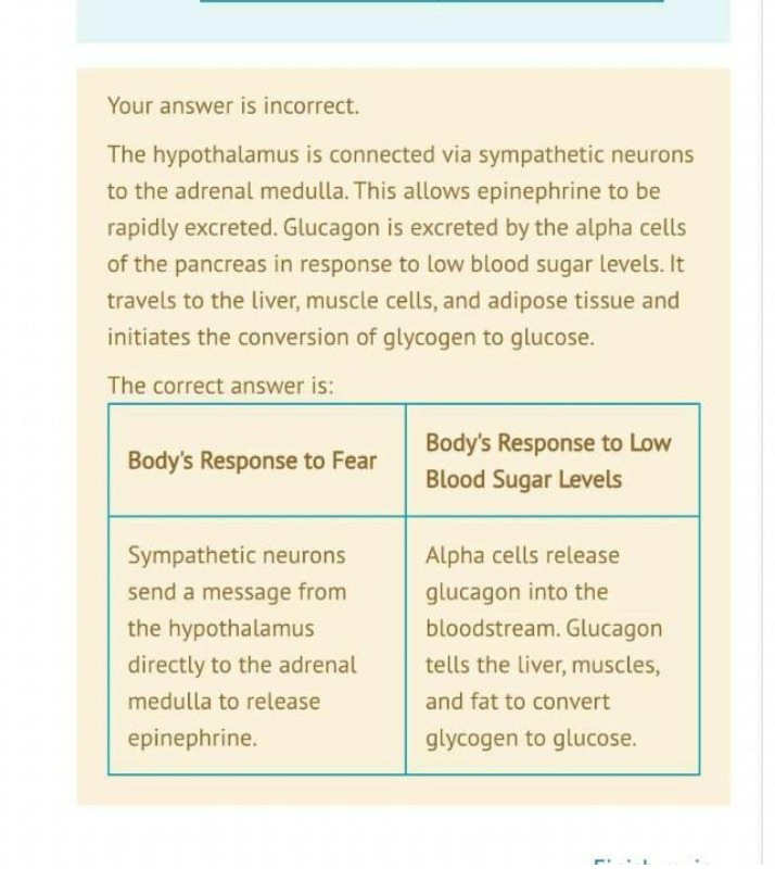 Fear and Low Blood Sugar - The Body's Response
