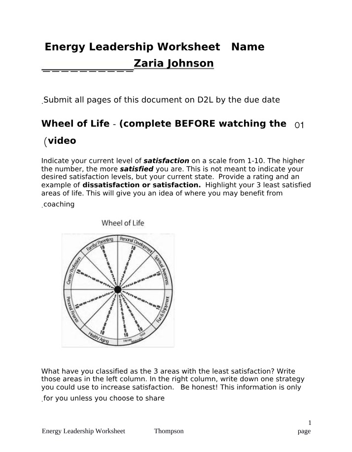 Worksheet for Energy Leadership