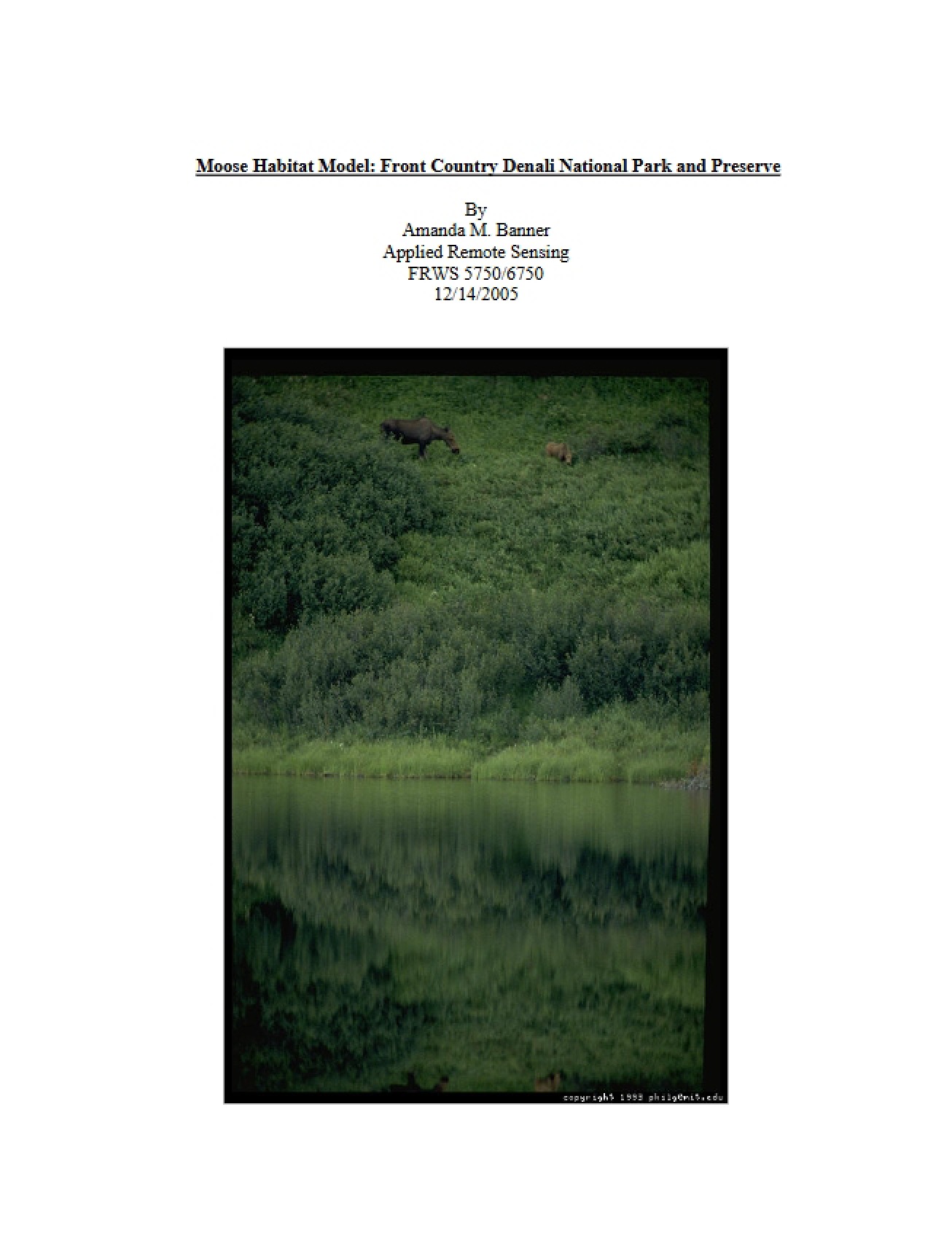 Model of Moose Habitat