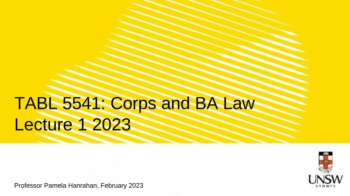 Lecture 1 - Corporations and Business Associations Law 2023