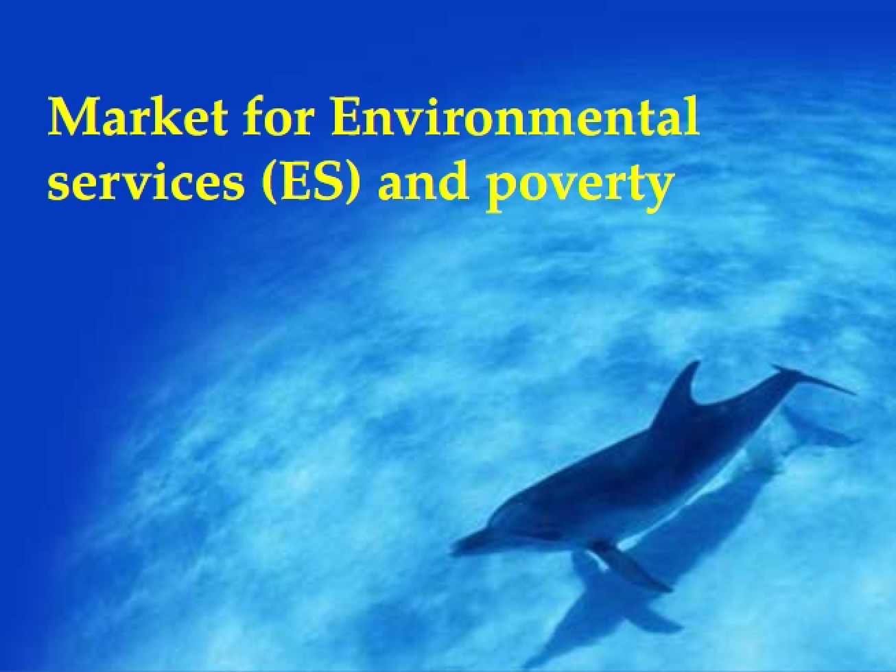 Environmental Services Market