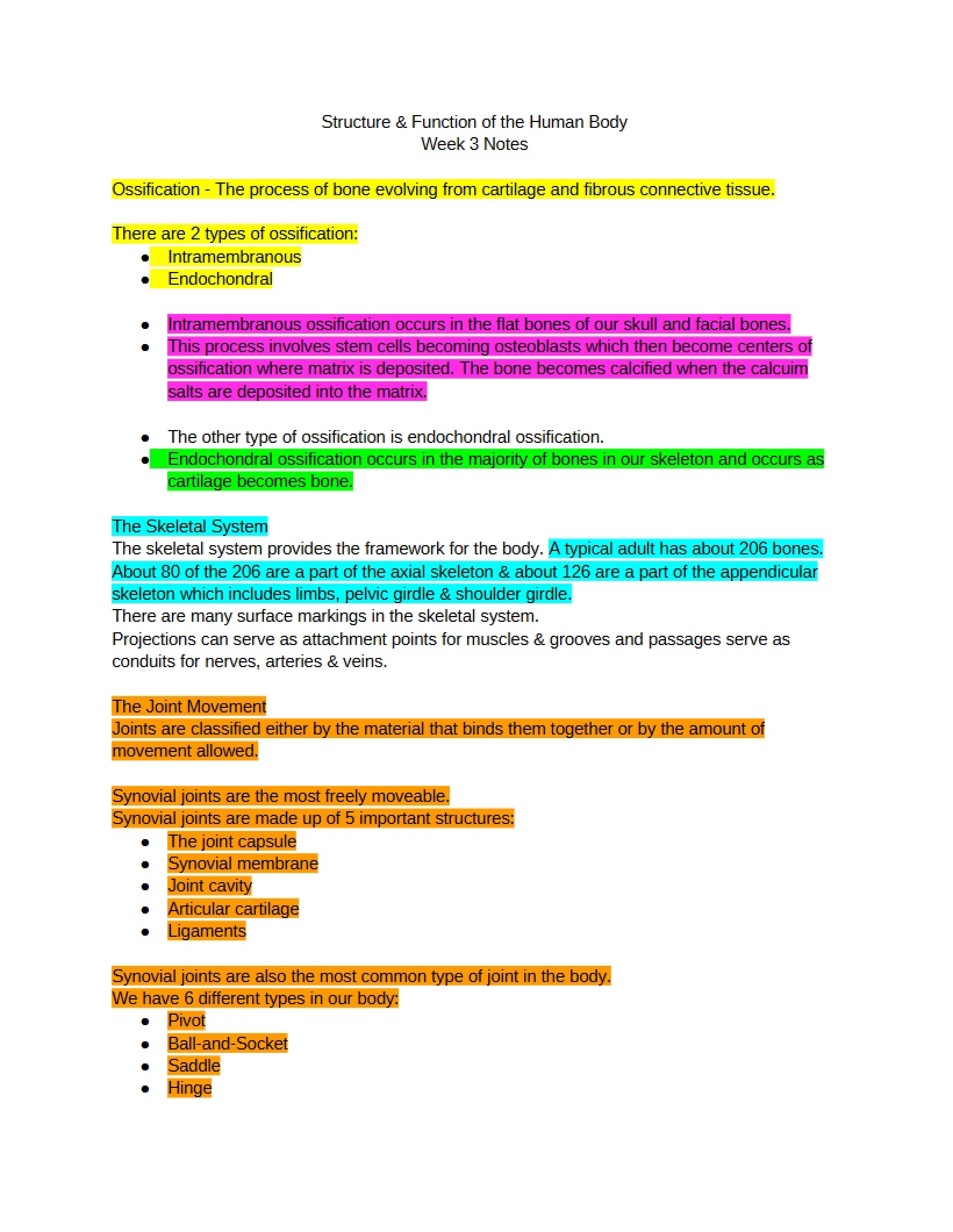 Human Body Structure and Function