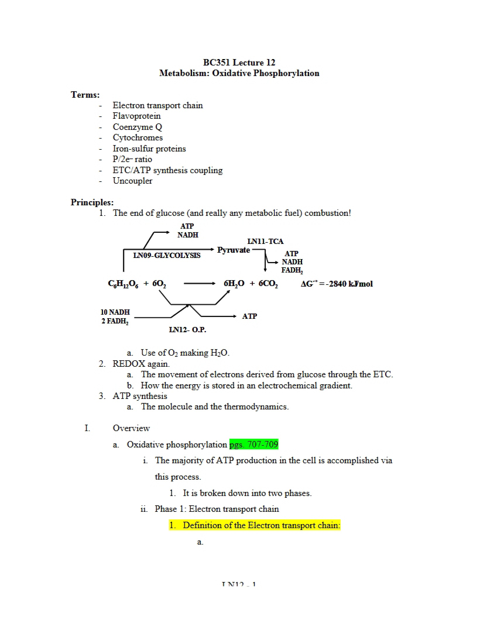 Biochemistry Lecture 12