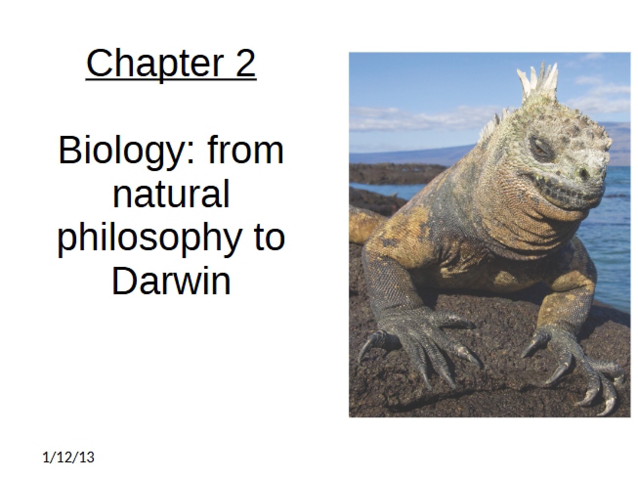 Chapter Two Evolution Overview