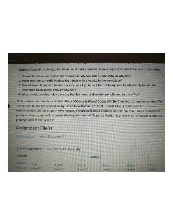 Unit 6 Assignment 1 - Diversity Case Study