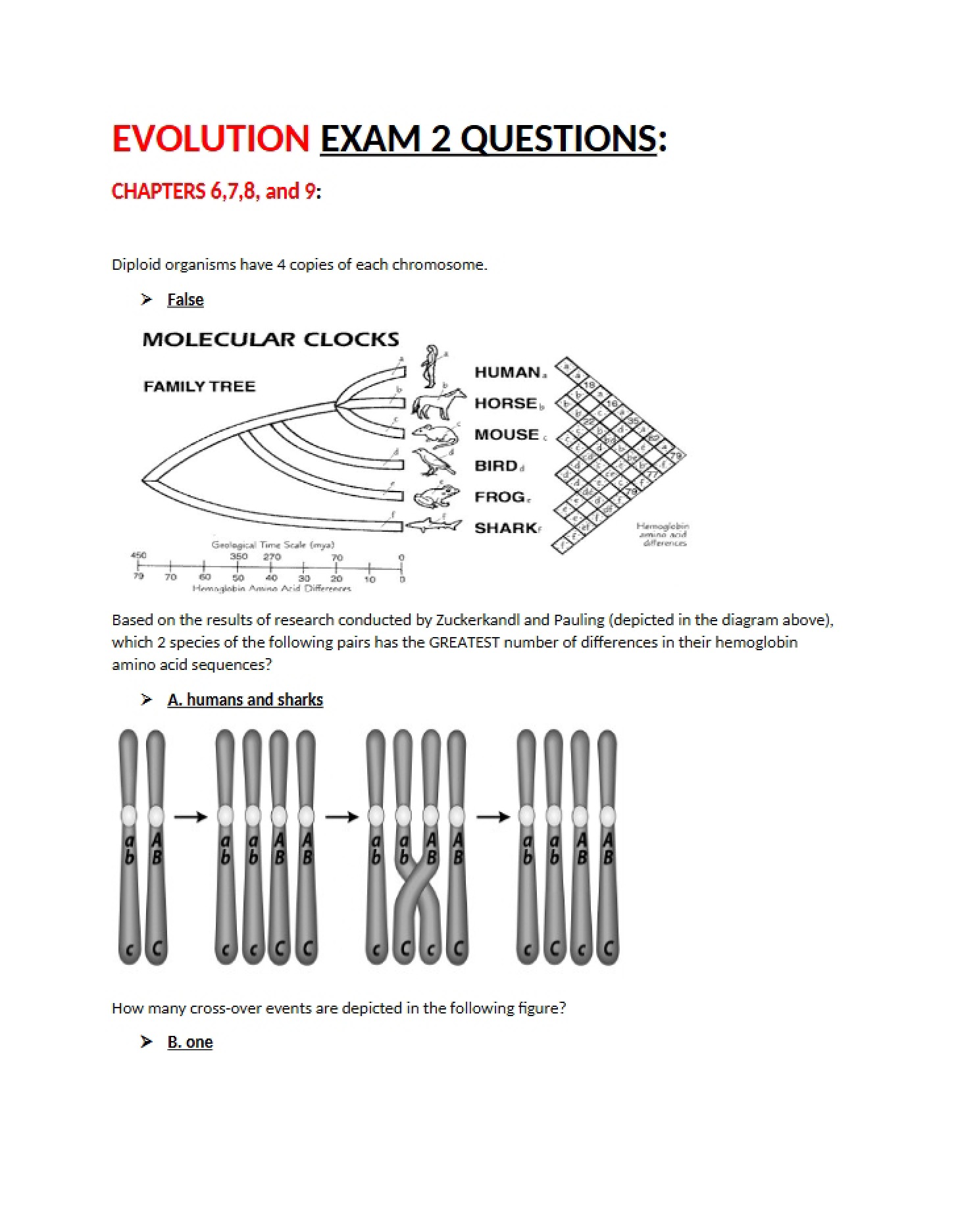 Guide for Evolution Exam