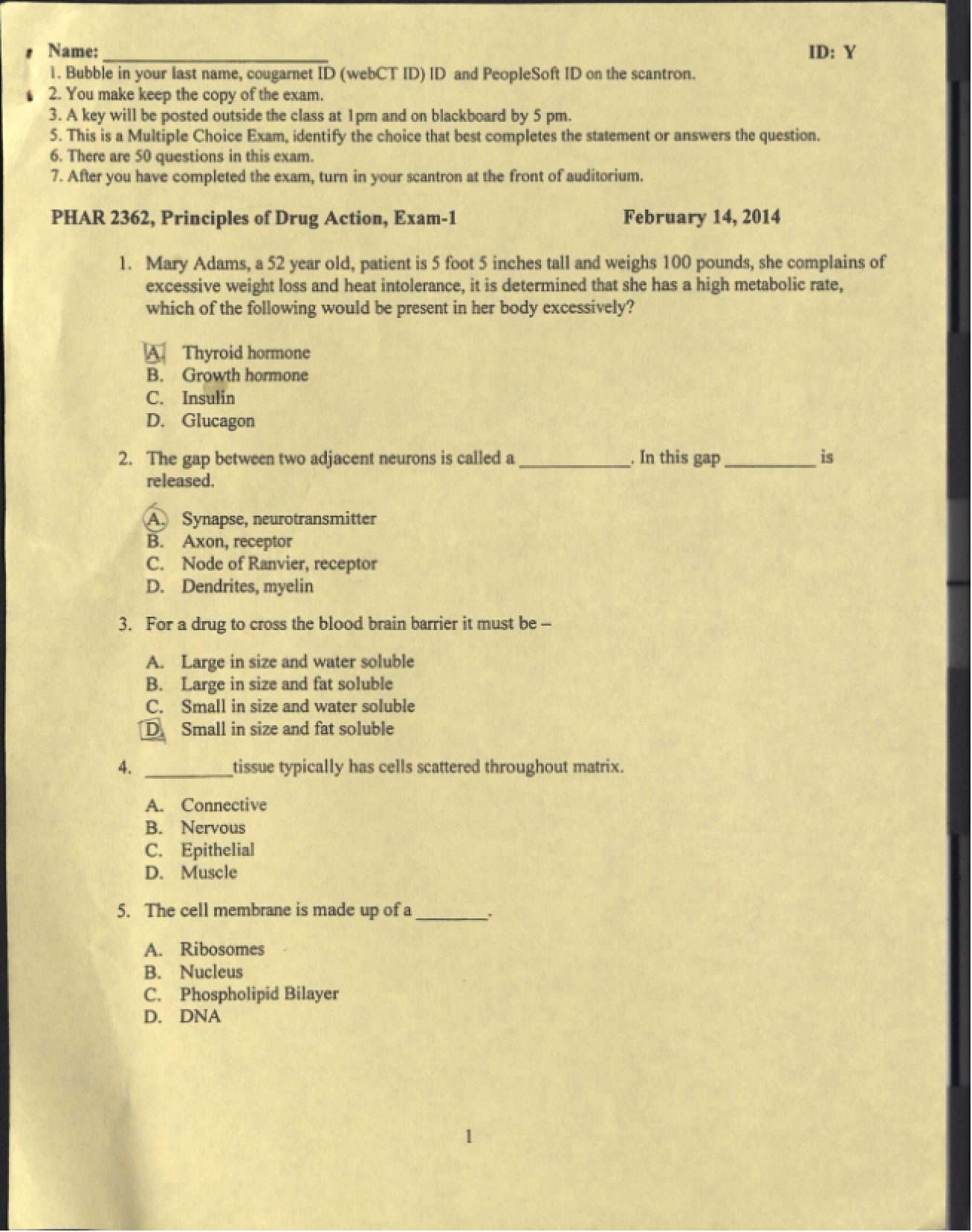 Drug Action Examination