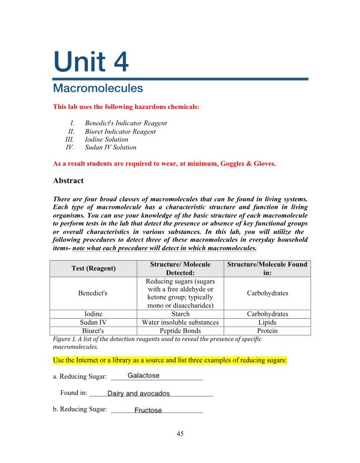 Lab - Detecting Macromolecules in Household Items
