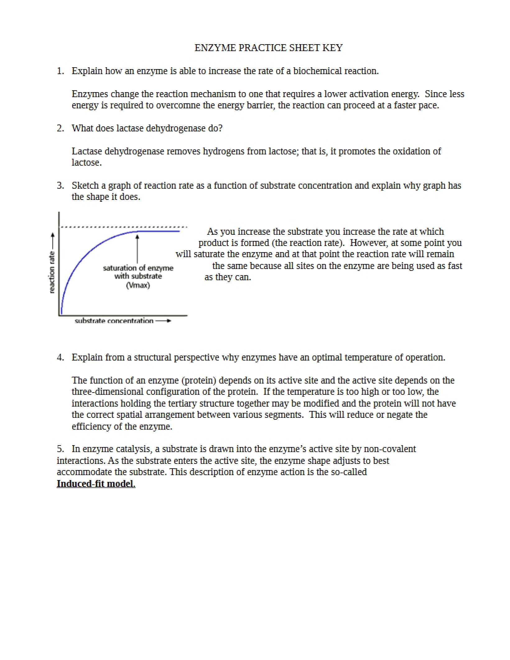 Practice with Enzymes